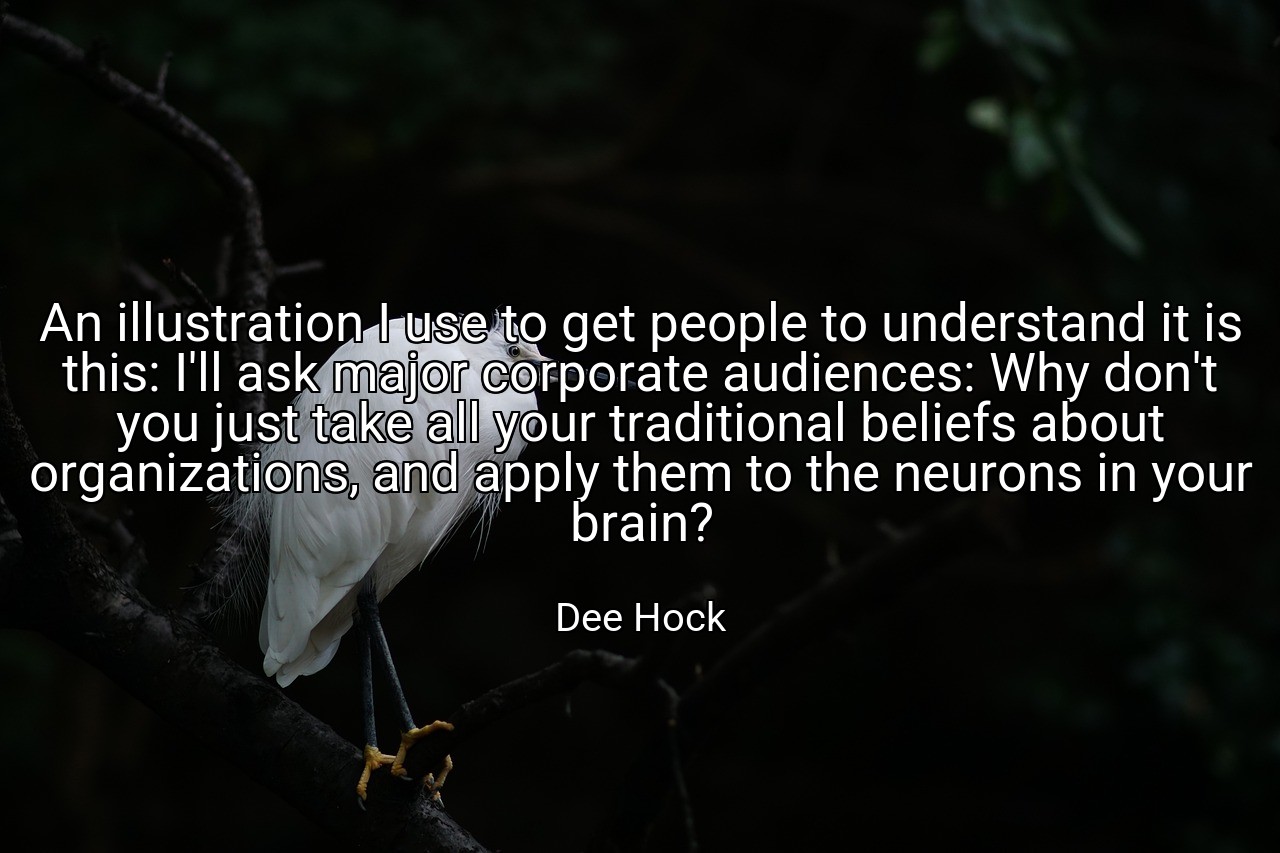 An illustration I use to get people to understand it is this: I'll ask major corporate audiences: Why don't you just take all your traditional beliefs about organizations, and apply them to the neurons in your brain? - Dee Hock
