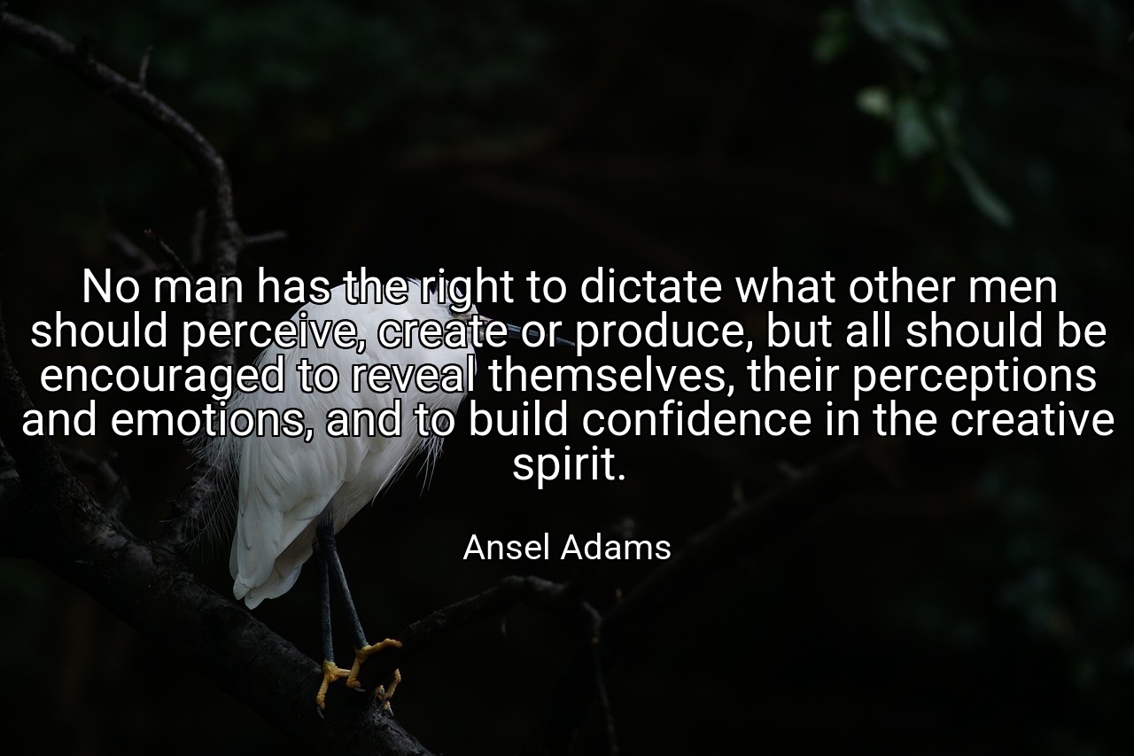No man has the right to dictate what other men should perceive, create or produce, but all should be encouraged to reveal themselves, their perceptions and emotions, and to build confidence in the creative spirit. - Ansel Adams