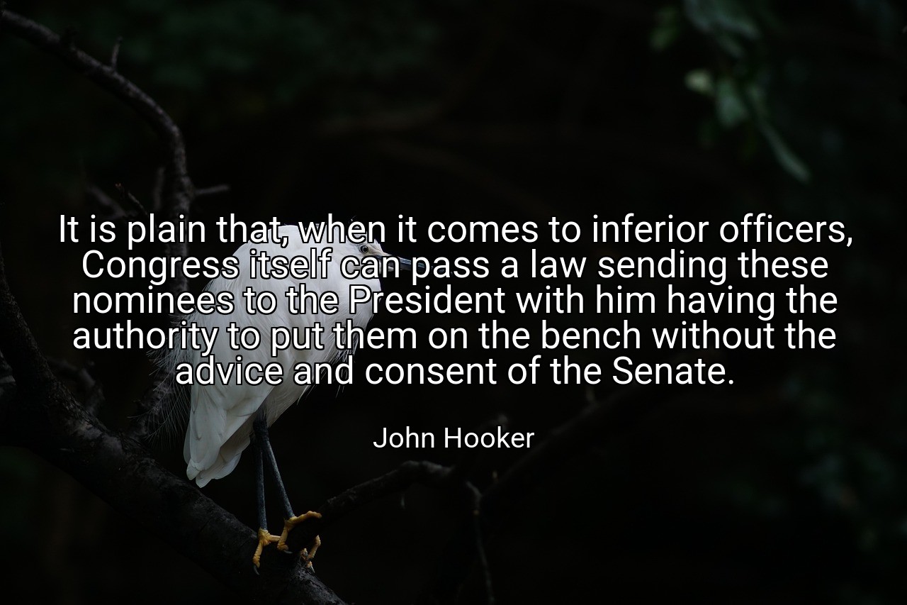 It is plain that, when it comes to inferior officers, Congress itself can pass a law sending these nominees to the President with him having the authority to put them on the bench without the advice and consent of the Senate. - John Hooker