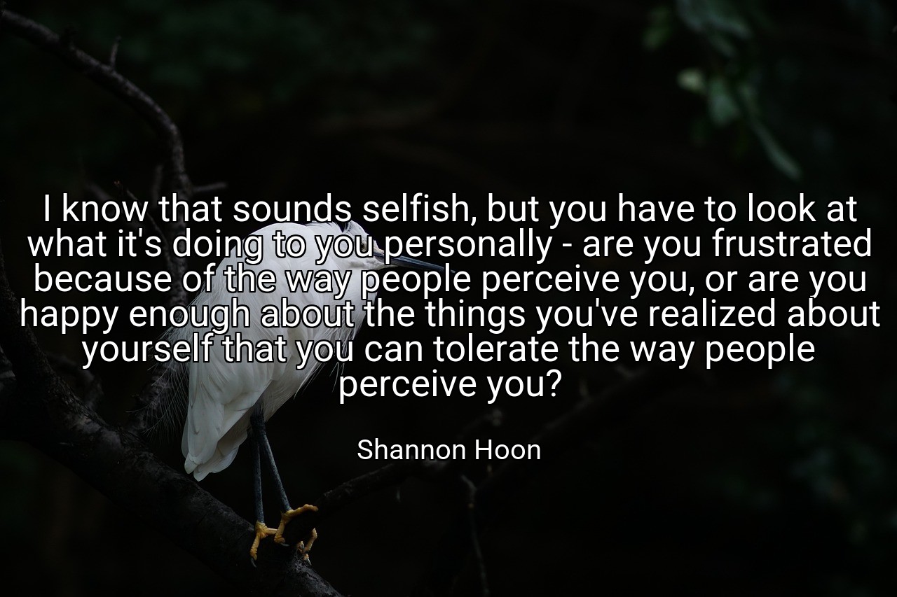 I know that sounds selfish, but you have to look at what it's doing to you personally - are you frustrated because of the way people perceive you, or are you happy enough about the things you've realized about yourself that you can tolerate the way people perceive you? - Shannon Hoon