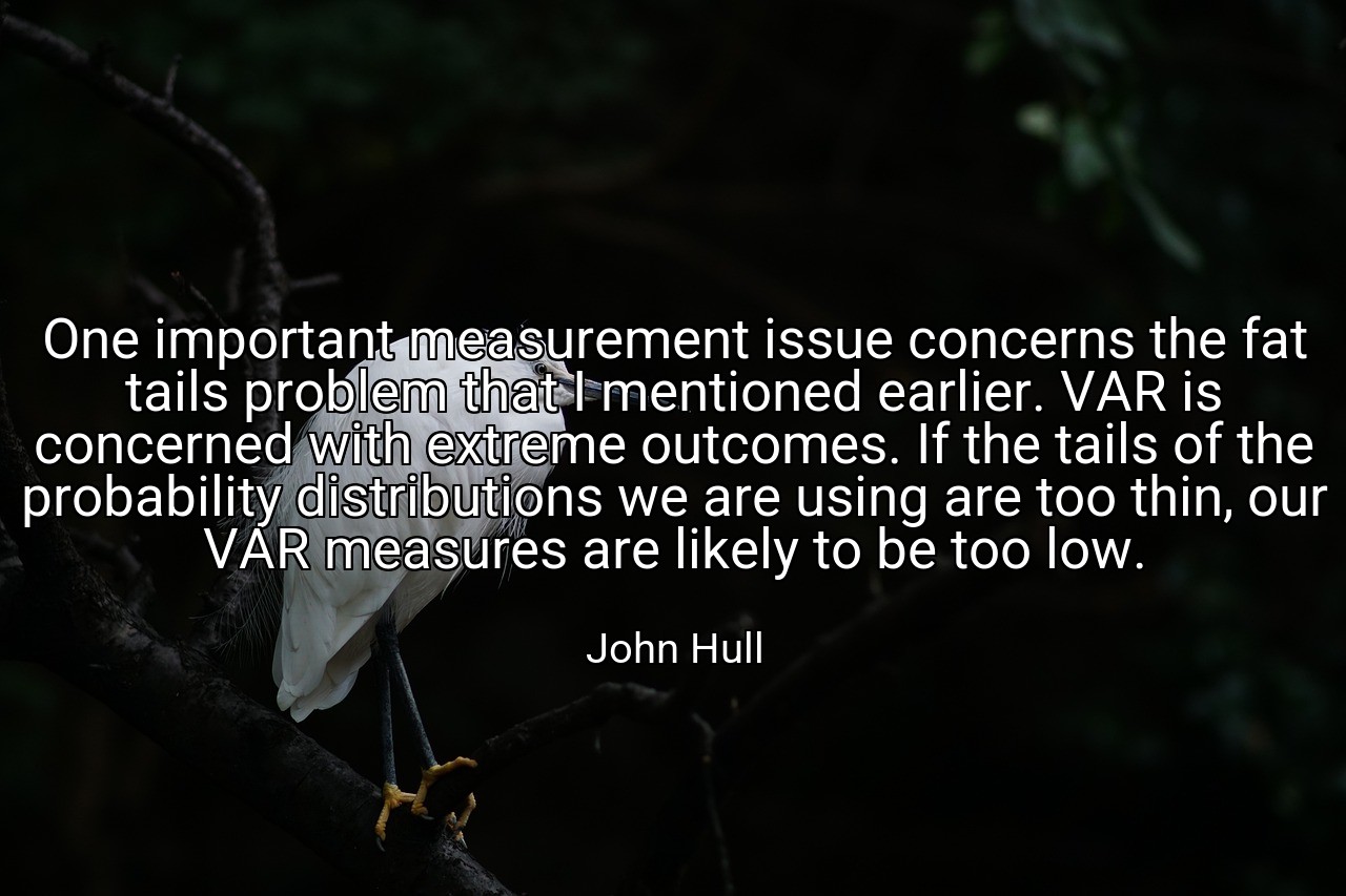 One important measurement issue concerns the fat tails problem that I mentioned earlier. VAR is concerned with extreme outcomes. If the tails of the probability distributions we are using are too thin, our VAR measures are likely to be too low. - John Hull