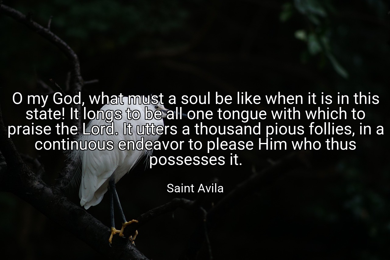 O my God, what must a soul be like when it is in this state! It longs to be all one tongue with which to praise the Lord. It utters a thousand pious follies, in a continuous endeavor to please Him who thus possesses it. - Saint Avila