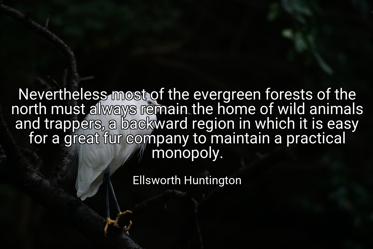 Nevertheless most of the evergreen forests of the north must always remain the home of wild animals and trappers, a backward region in which it is easy for a great fur company to maintain a practical monopoly. - Ellsworth Huntington
