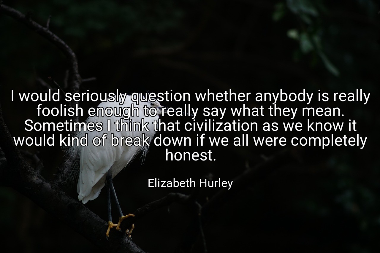 I would seriously question whether anybody is really foolish enough to really say what they mean. Sometimes I think that civilization as we know it would kind of break down if we all were completely honest. - Elizabeth Hurley