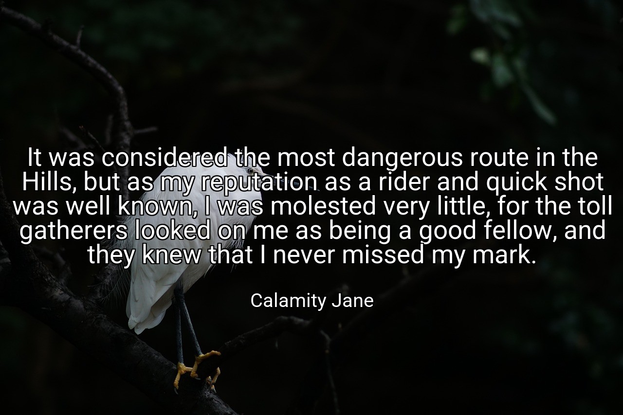 It was considered the most dangerous route in the Hills, but as my reputation as a rider and quick shot was well known, I was molested very little, for the toll gatherers looked on me as being a good fellow, and they knew that I never missed my mark. - Calamity Jane