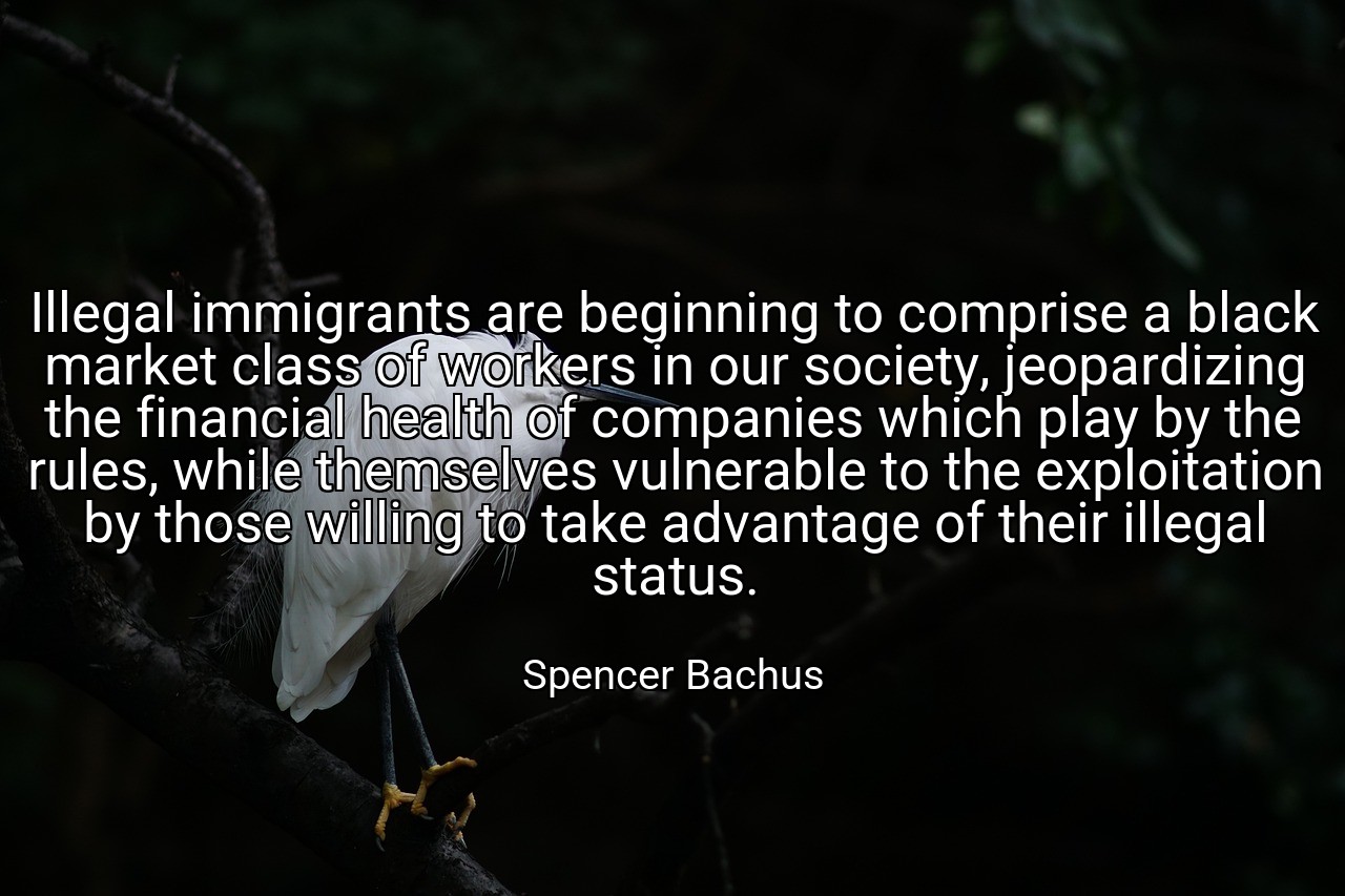 Illegal immigrants are beginning to comprise a black market class of workers in our society, jeopardizing the financial health of companies which play by the rules, while themselves vulnerable to the exploitation by those willing to take advantage of their illegal status. - Spencer Bachus