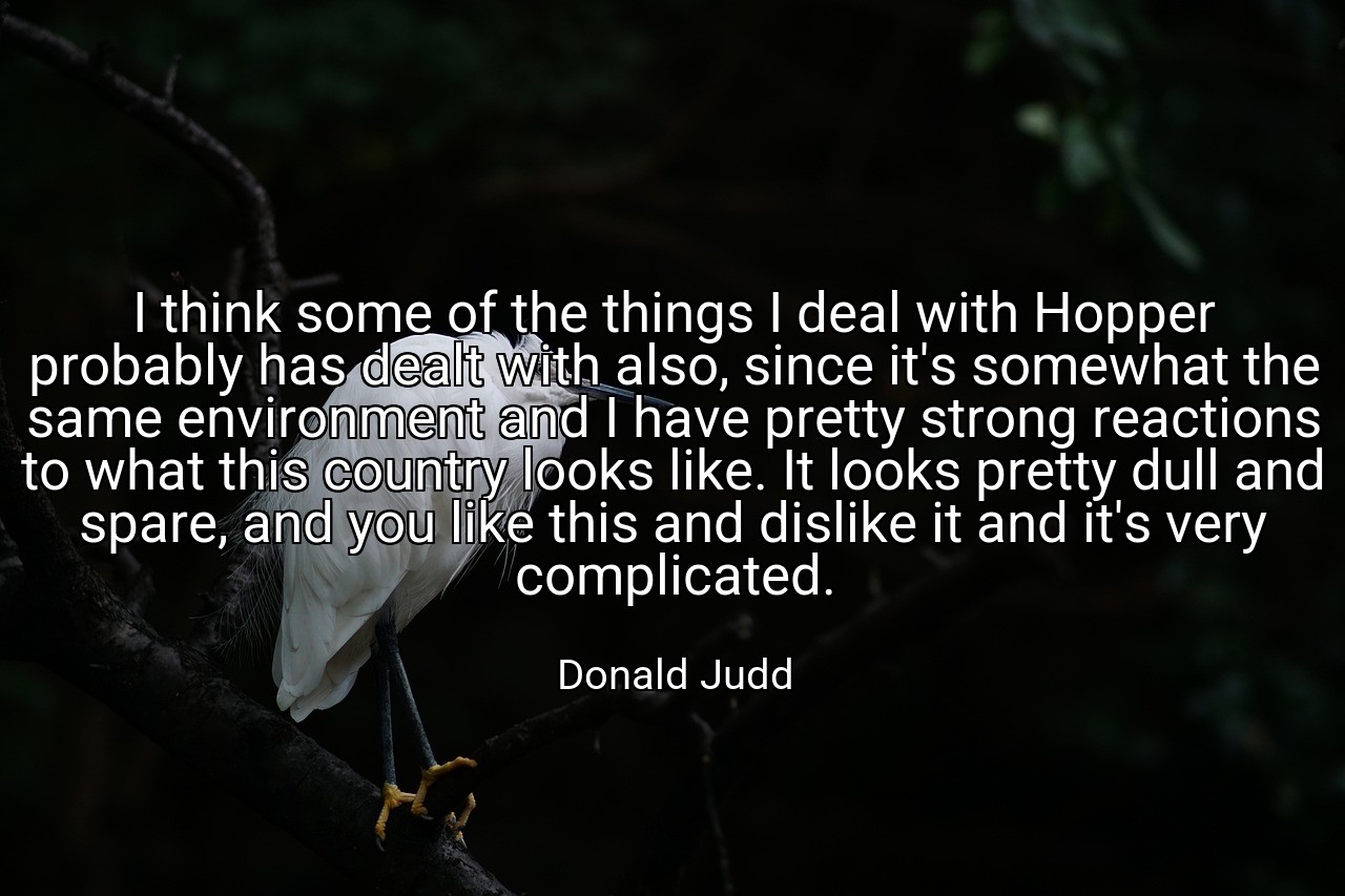 I think some of the things I deal with Hopper probably has dealt with also, since it's somewhat the same environment and I have pretty strong reactions to what this country looks like. It looks pretty dull and spare, and you like this and dislike it and it's very complicated. - Donald Judd