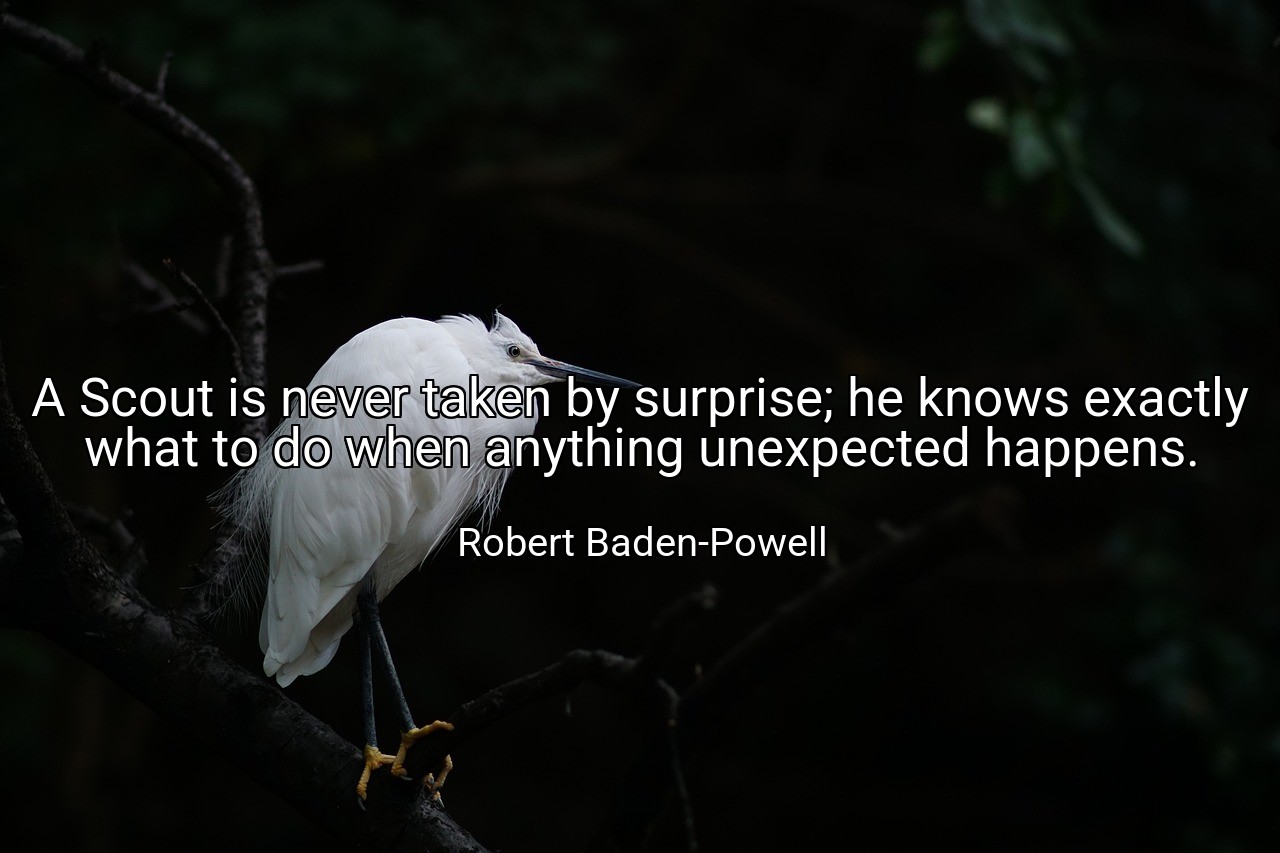 A Scout is never taken by surprise; he knows exactly what to do when anything unexpected happens. - Robert Baden-Powell