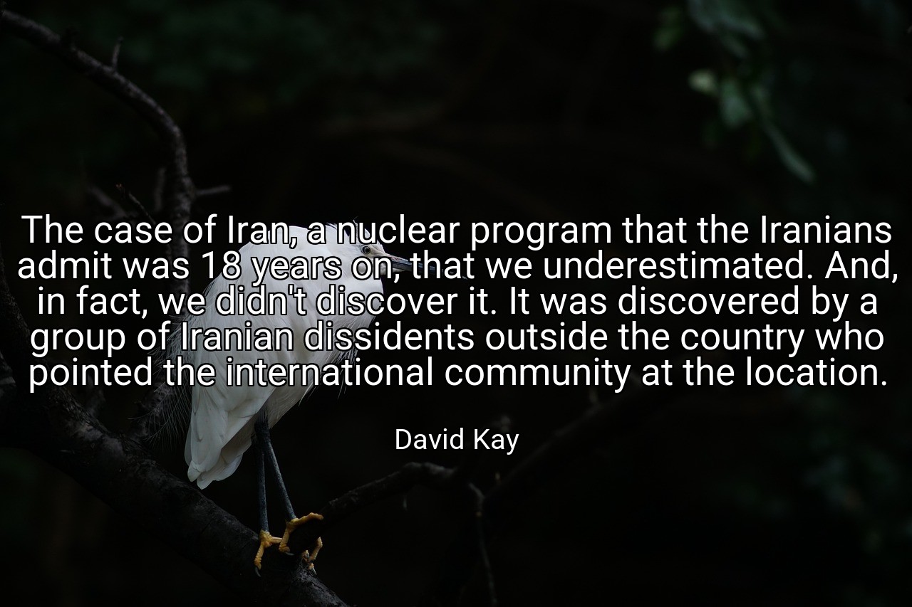 The case of Iran, a nuclear program that the Iranians admit was 18 years on, that we underestimated. And, in fact, we didn't discover it. It was discovered by a group of Iranian dissidents outside the country who pointed the international community at the location. - David Kay