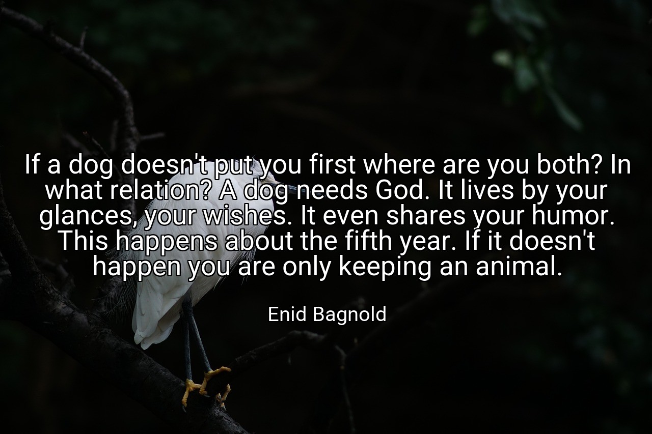 If a dog doesn't put you first where are you both? In what relation? A dog needs God. It lives by your glances, your wishes. It even shares your humor. This happens about the fifth year. If it doesn't happen you are only keeping an animal. - Enid Bagnold