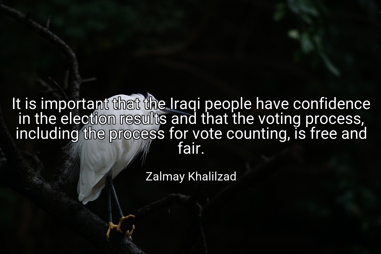 It is important that the Iraqi people have confidence in the election results and that the voting process, including the process for vote counting, is free and fair. - Zalmay Khalilzad
