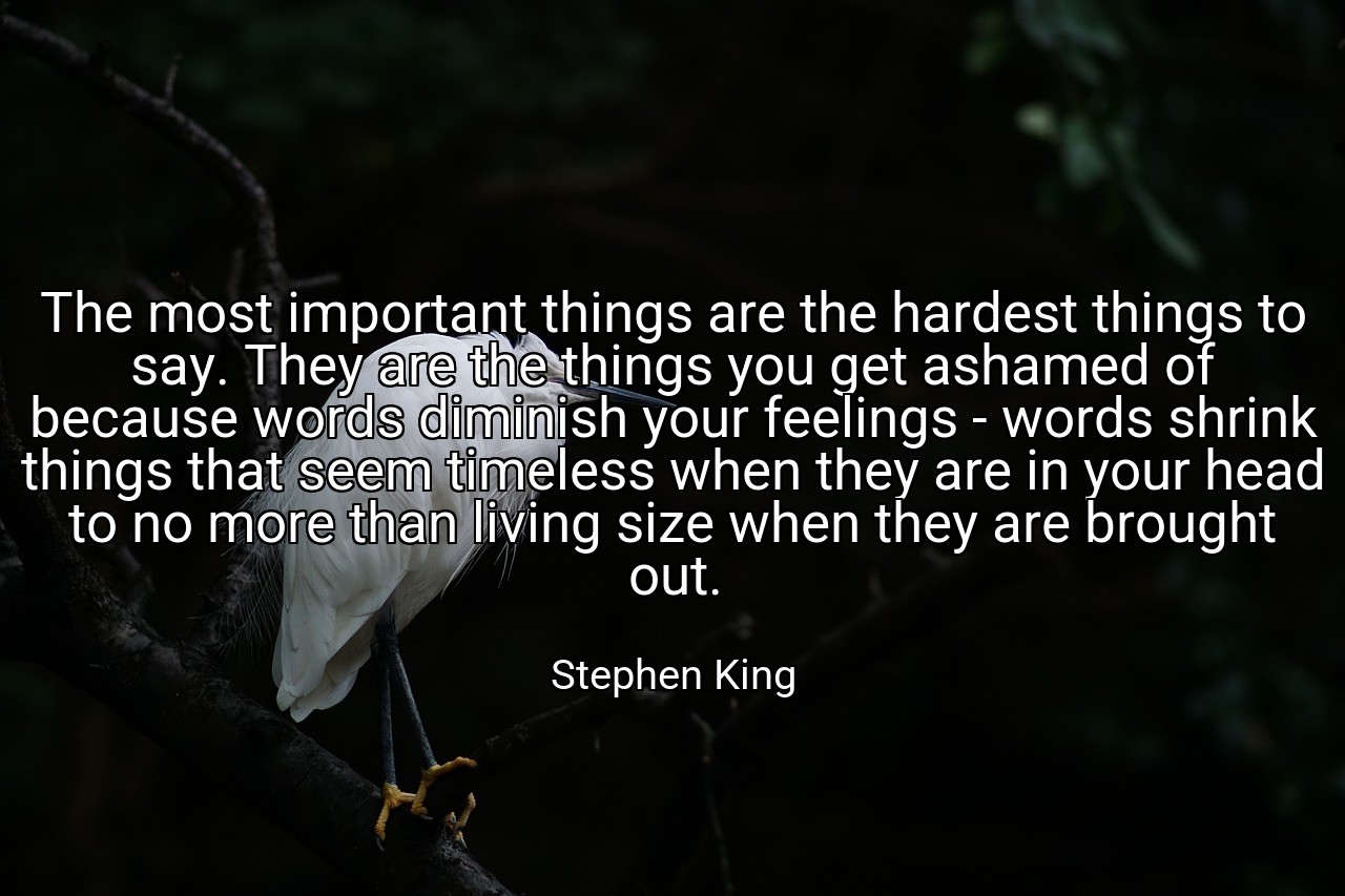 The most important things are the hardest things to say. They are the things you get ashamed of because words diminish your feelings - words shrink things that seem timeless when they are in your head to no more than living size when they are brought out. - Stephen King