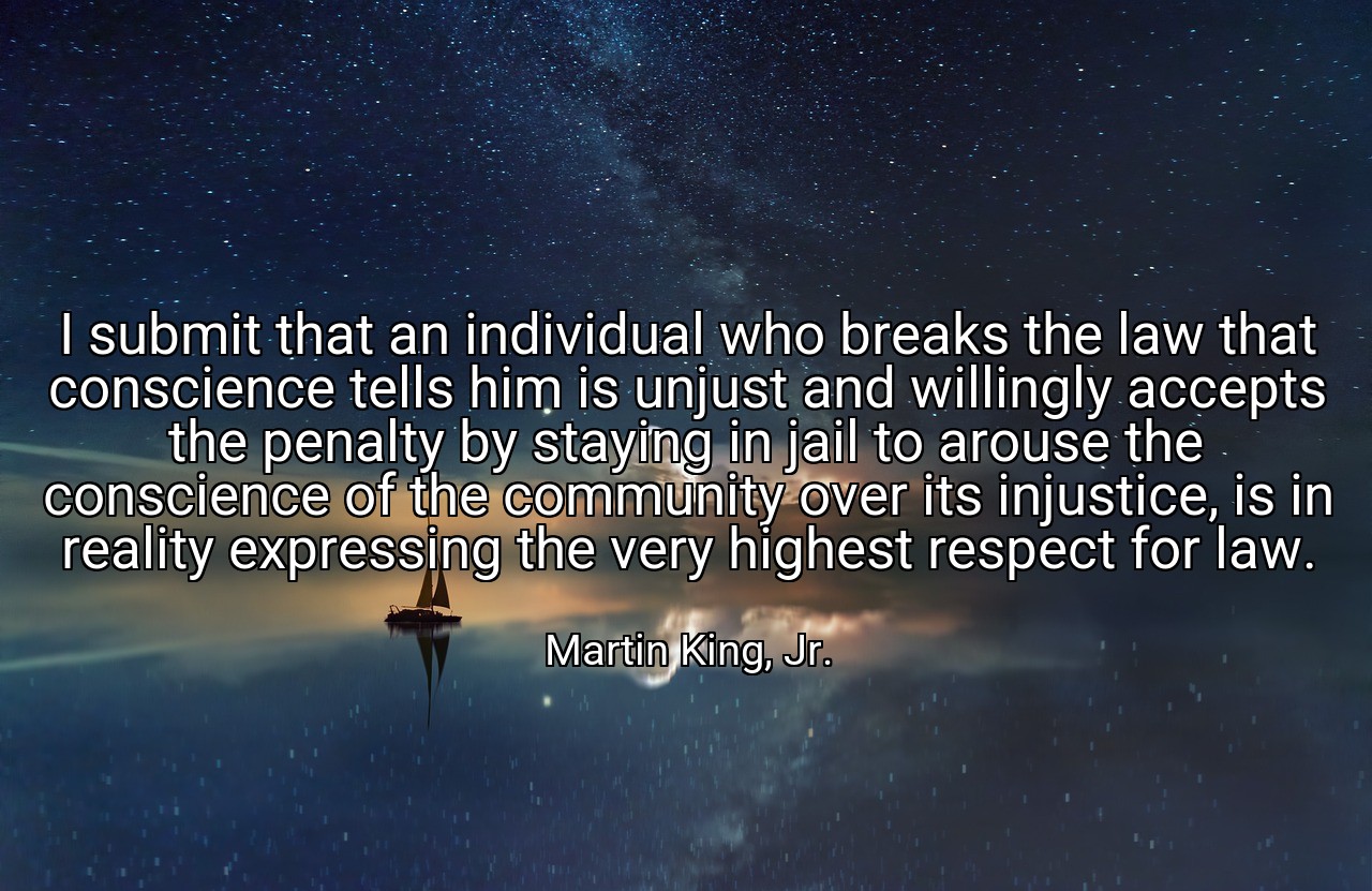 I submit that an individual who breaks the law that conscience tells him is unjust and willingly accepts the penalty by staying in jail to arouse the conscience of the community over its injustice, is in reality expressing the very highest respect for law. - Martin King, Jr.