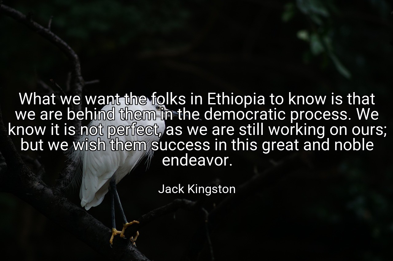 What we want the folks in Ethiopia to know is that we are behind them in the democratic process. We know it is not perfect, as we are still working on ours; but we wish them success in this great and noble endeavor. - Jack Kingston
