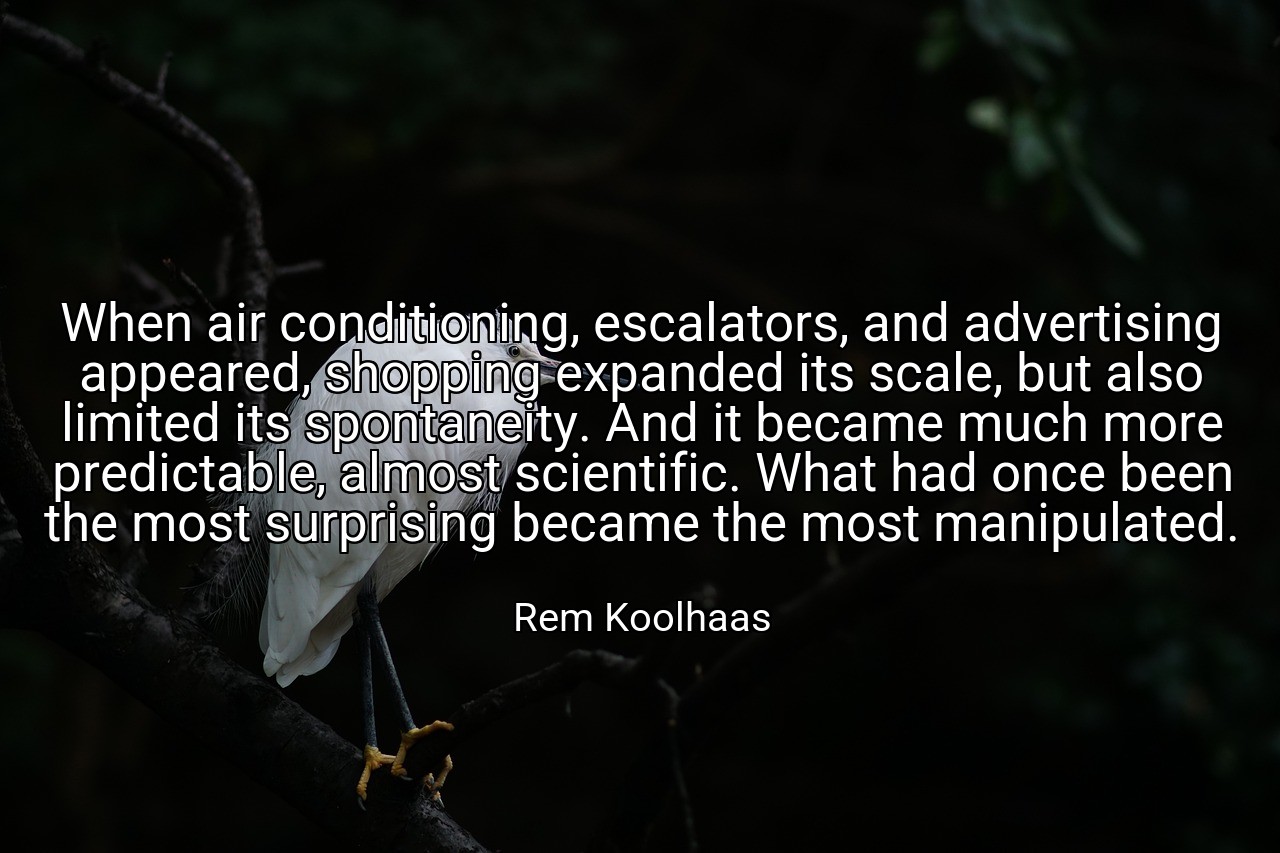 When air conditioning, escalators, and advertising appeared, shopping expanded its scale, but also limited its spontaneity. And it became much more predictable, almost scientific. What had once been the most surprising became the most manipulated. - Rem Koolhaas
