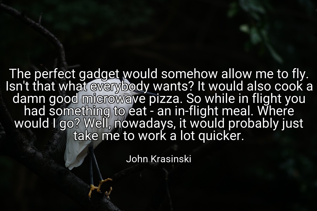 The perfect gadget would somehow allow me to fly. Isn't that what everybody wants? It would also cook a damn good microwave pizza. So while in flight you had something to eat - an in-flight meal. Where would I go? Well, nowadays, it would probably just take me to work a lot quicker. - John Krasinski