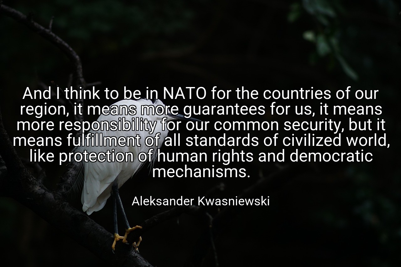 And I think to be in NATO for the countries of our region, it means more guarantees for us, it means more responsibility for our common security, but it means fulfillment of all standards of civilized world, like protection of human rights and democratic mechanisms. - Aleksander Kwasniewski