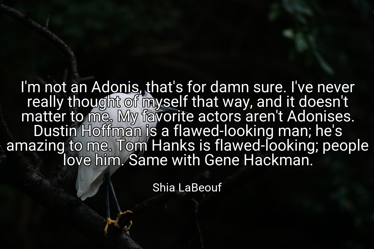 I'm not an Adonis, that's for damn sure. I've never really thought of myself that way, and it doesn't matter to me. My favorite actors aren't Adonises. Dustin Hoffman is a flawed-looking man; he's amazing to me. Tom Hanks is flawed-looking; people love him. Same with Gene Hackman. - Shia LaBeouf