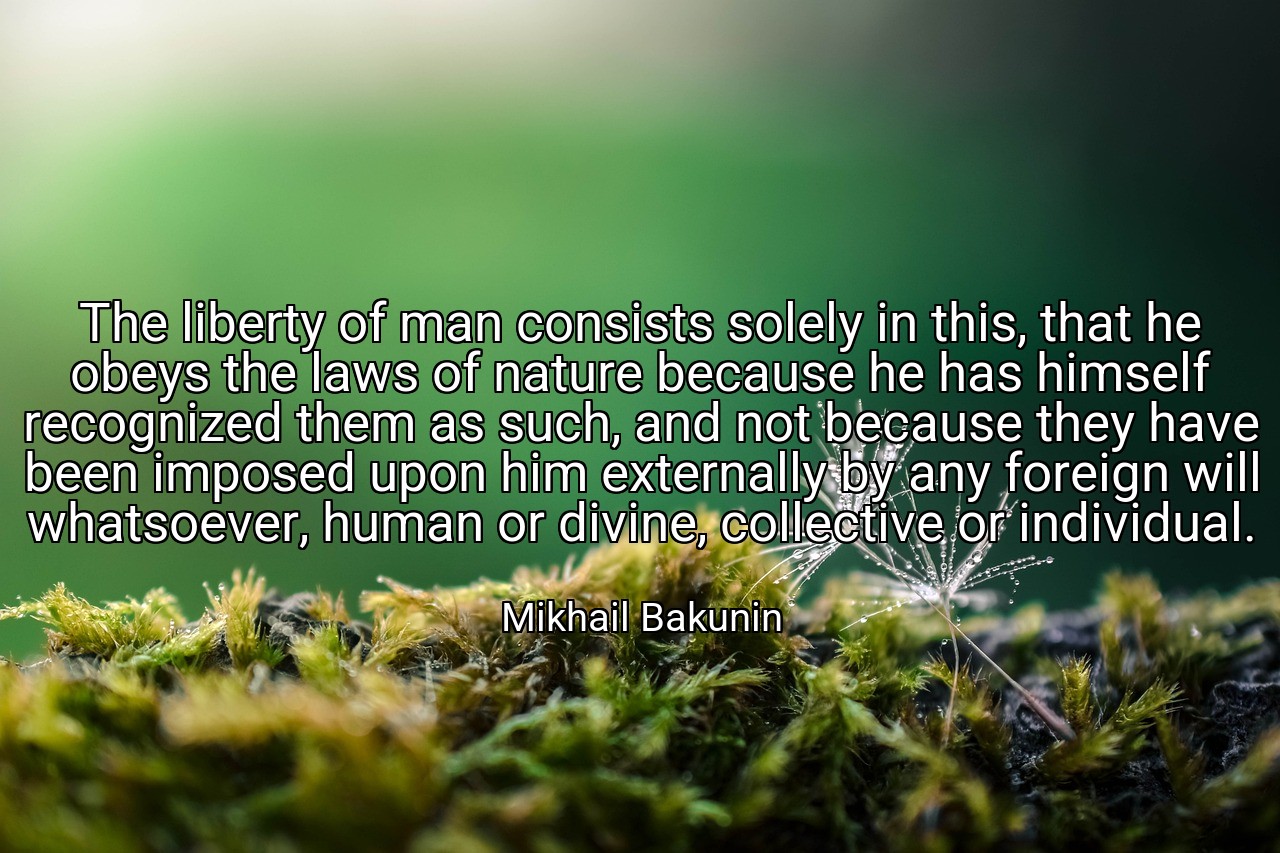 The liberty of man consists solely in this, that he obeys the laws of nature because he has himself recognized them as such, and not because they have been imposed upon him externally by any foreign will whatsoever, human or divine, collective or individual. - Mikhail Bakunin