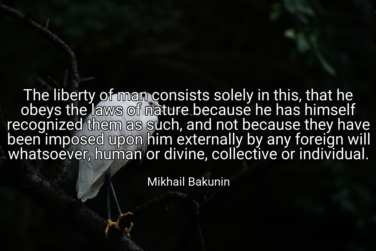 The liberty of man consists solely in this, that he obeys the laws of nature because he has himself recognized them as such, and not because they have been imposed upon him externally by any foreign will whatsoever, human or divine, collective or individual. - Mikhail Bakunin