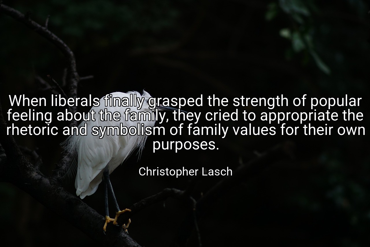 When liberals finally grasped the strength of popular feeling about the family, they cried to appropriate the rhetoric and symbolism of family values for their own purposes. - Christopher Lasch
