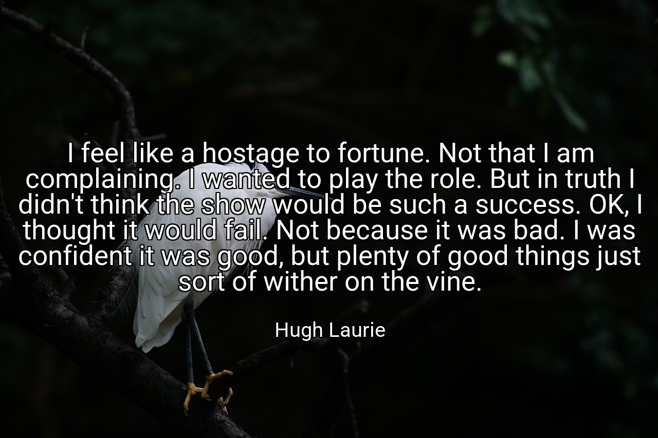 I feel like a hostage to fortune. Not that I am complaining. I wanted to play the role. But in truth I didn't think the show would be such a success. OK, I thought it would fail. Not because it was bad. I was confident it was good, but plenty of good things just sort of wither on the vine. - Hugh Laurie