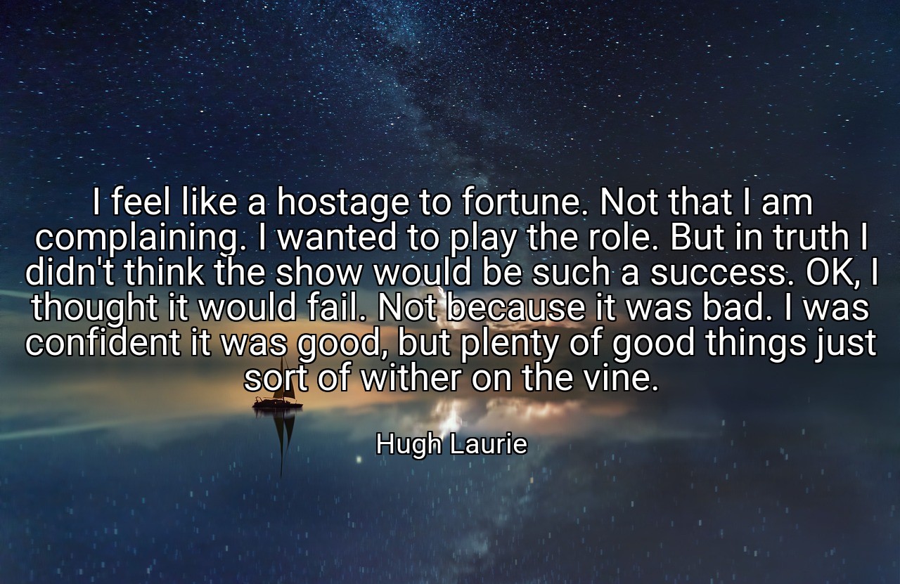 I feel like a hostage to fortune. Not that I am complaining. I wanted to play the role. But in truth I didn't think the show would be such a success. OK, I thought it would fail. Not because it was bad. I was confident it was good, but plenty of good things just sort of wither on the vine. - Hugh Laurie