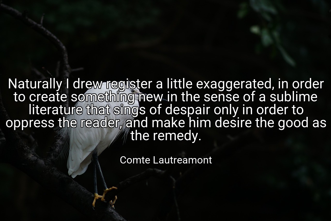 Naturally I drew register a little exaggerated, in order to create something new in the sense of a sublime literature that sings of despair only in order to oppress the reader, and make him desire the good as the remedy. - Comte Lautreamont