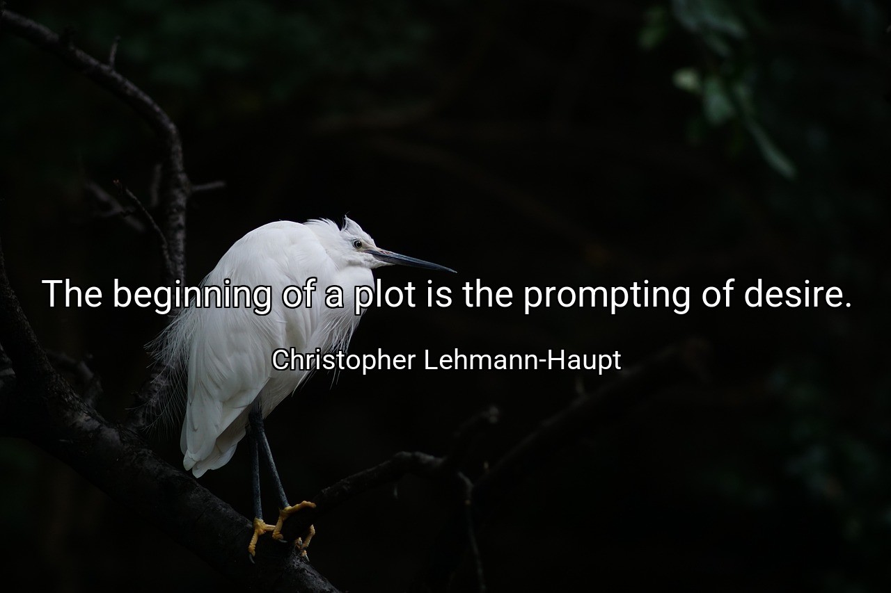The beginning of a plot is the prompting of desire. - Christopher Lehmann-Haupt