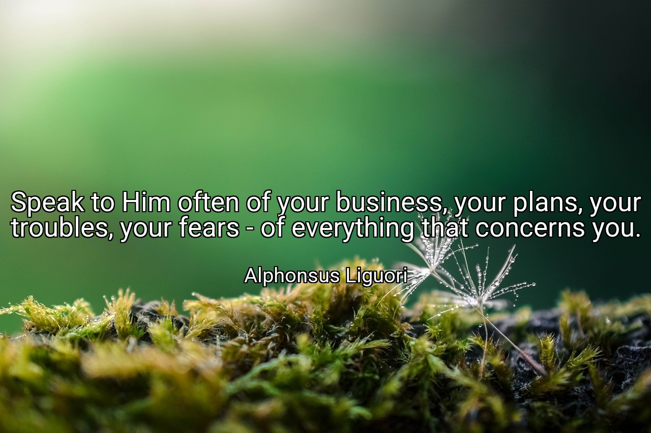 Speak to Him often of your business, your plans, your troubles, your fears - of everything that concerns you. - Alphonsus Liguori