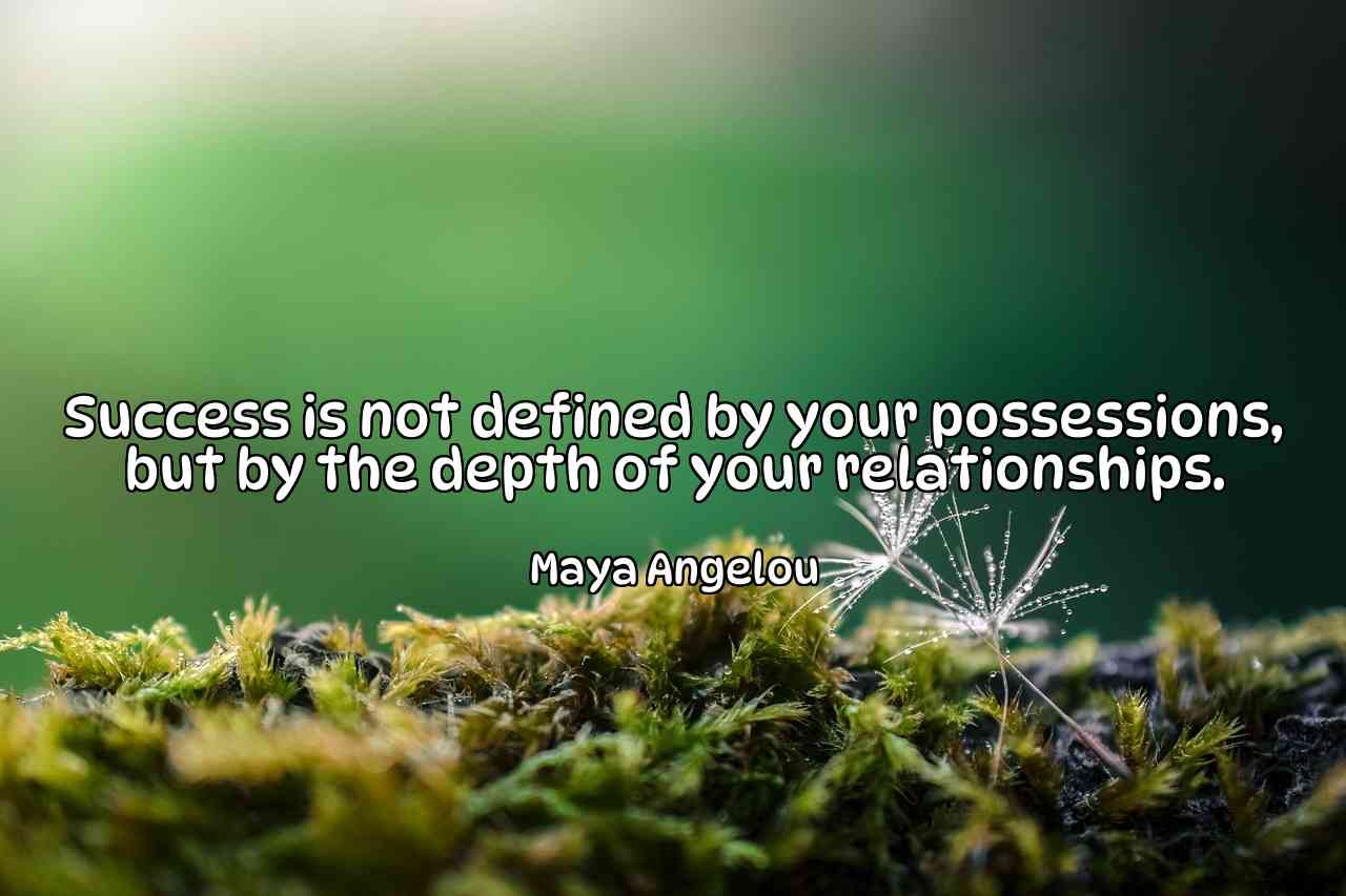 Success is not defined by your possessions, but by the depth of your relationships. - Maya Angelou