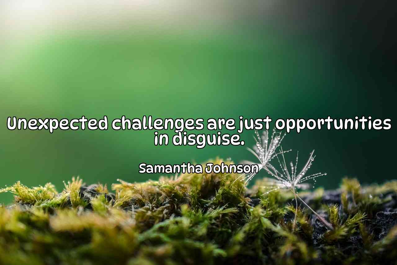 Unexpected challenges are just opportunities in disguise. - Samantha Johnson