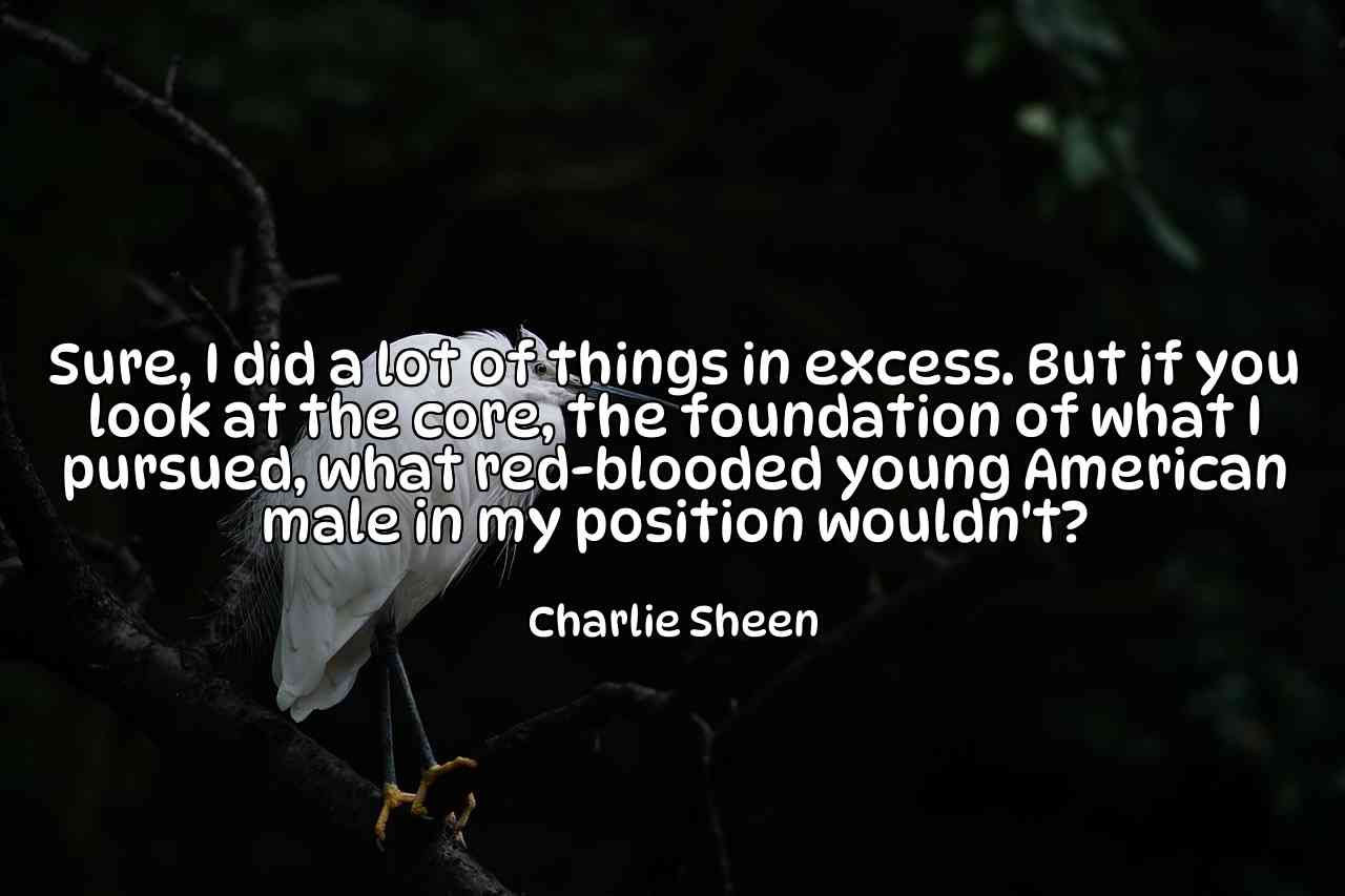 Sure, I did a lot of things in excess. But if you look at the core, the foundation of what I pursued, what red-blooded young American male in my position wouldn't? - Charlie Sheen