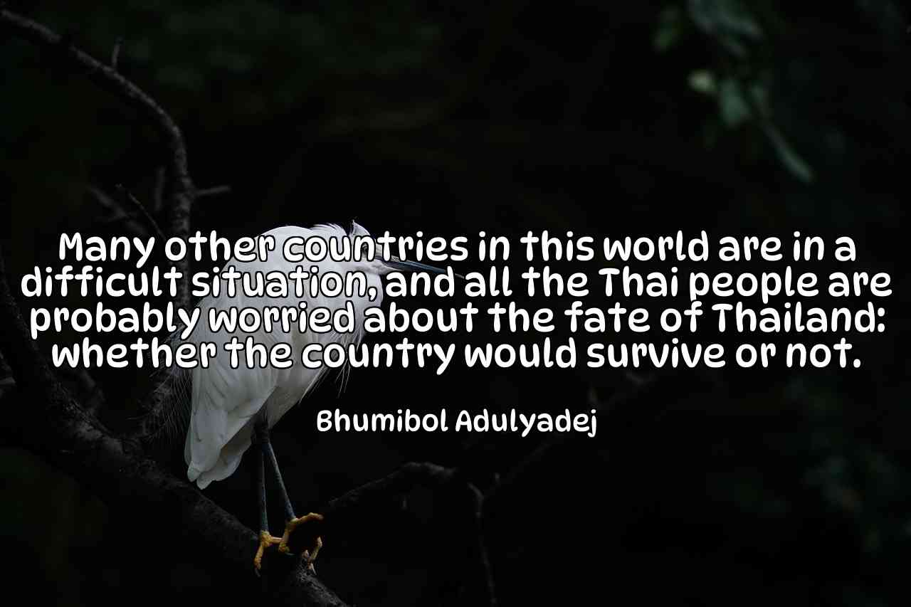 Many other countries in this world are in a difficult situation, and all the Thai people are probably worried about the fate of Thailand: whether the country would survive or not. - Bhumibol Adulyadej