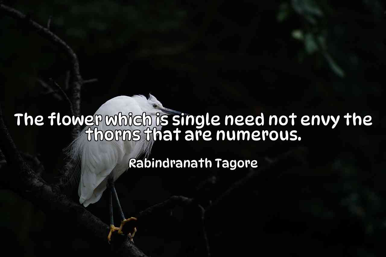 The flower which is single need not envy the thorns that are numerous. - Rabindranath Tagore