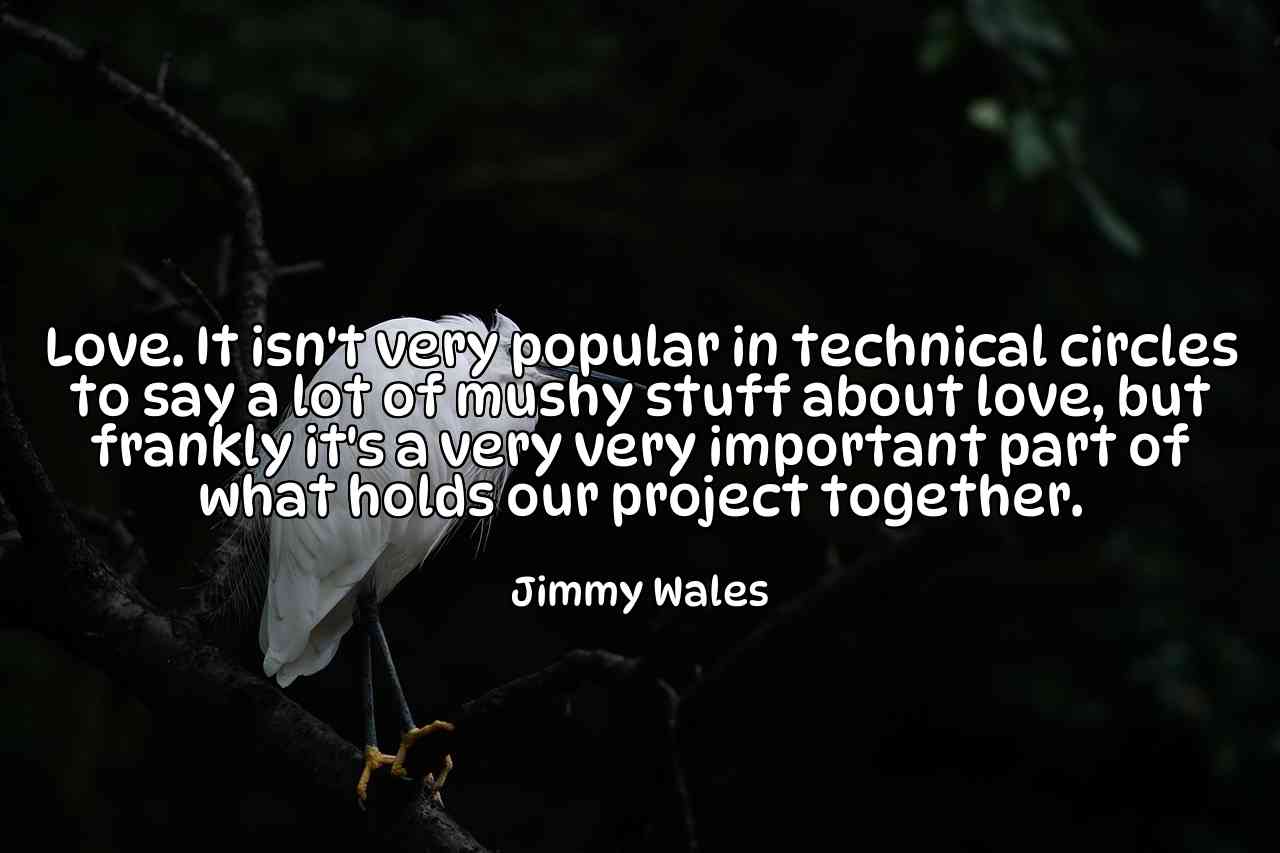 Love. It isn't very popular in technical circles to say a lot of mushy stuff about love, but frankly it's a very very important part of what holds our project together. - Jimmy Wales