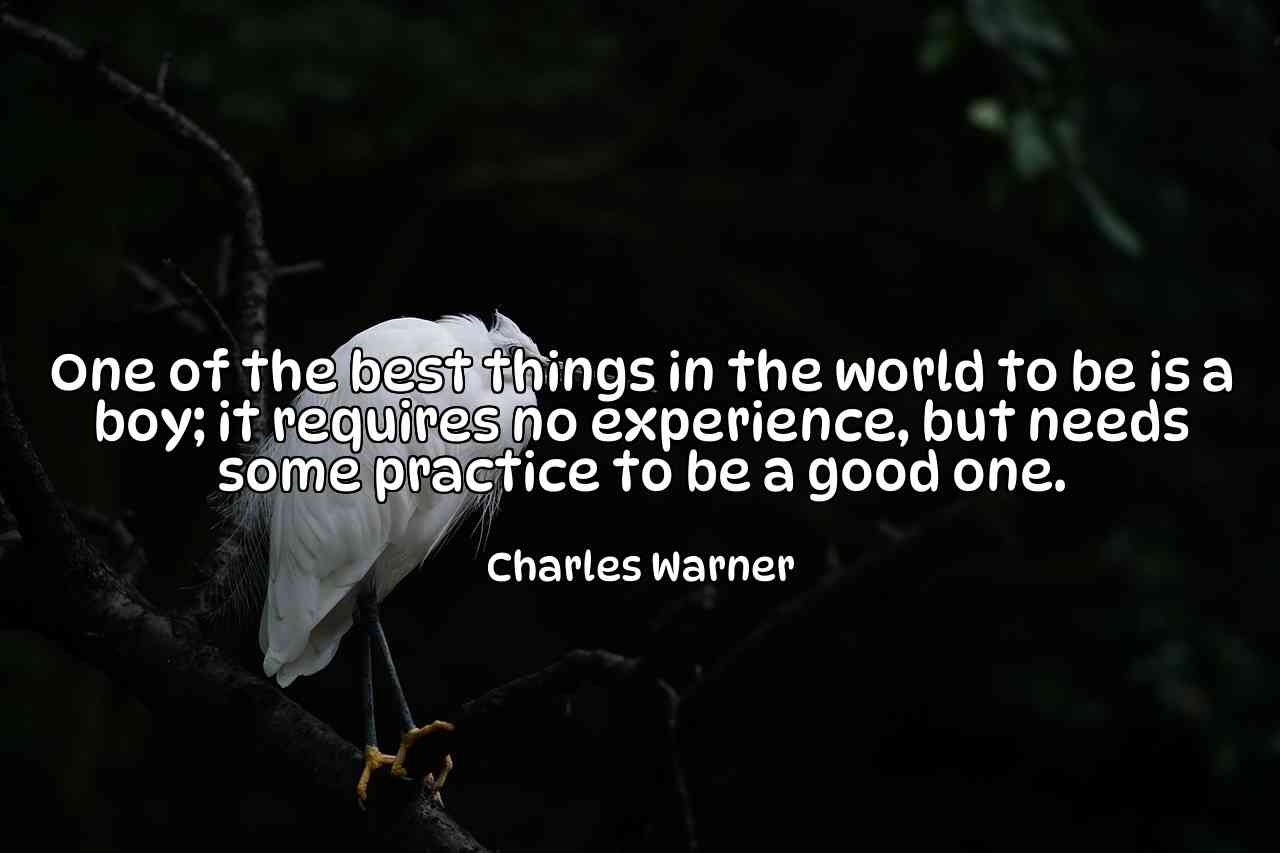 One of the best things in the world to be is a boy; it requires no experience, but needs some practice to be a good one. - Charles Warner