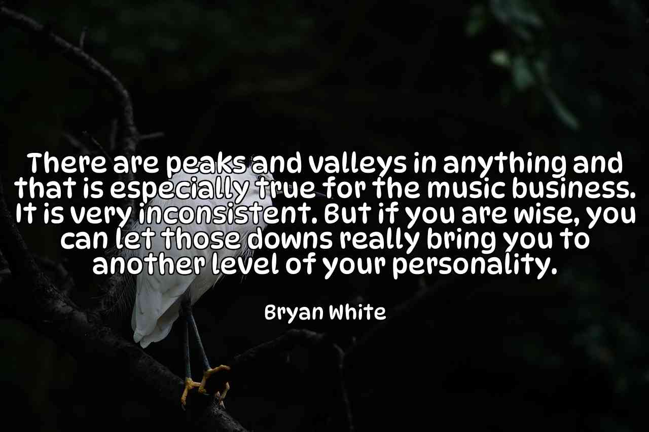 There are peaks and valleys in anything and that is especially true for the music business. It is very inconsistent. But if you are wise, you can let those downs really bring you to another level of your personality. - Bryan White