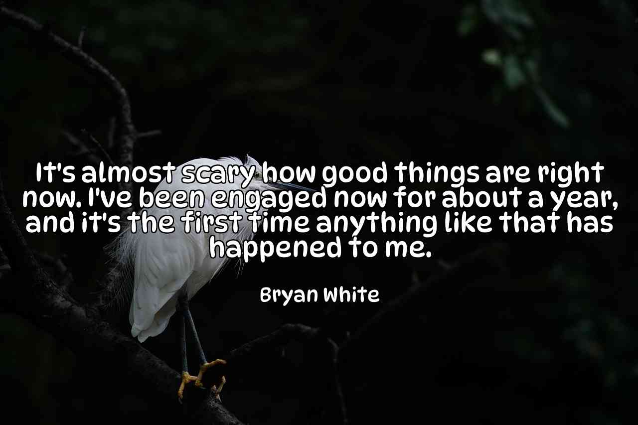 It's almost scary how good things are right now. I've been engaged now for about a year, and it's the first time anything like that has happened to me. - Bryan White