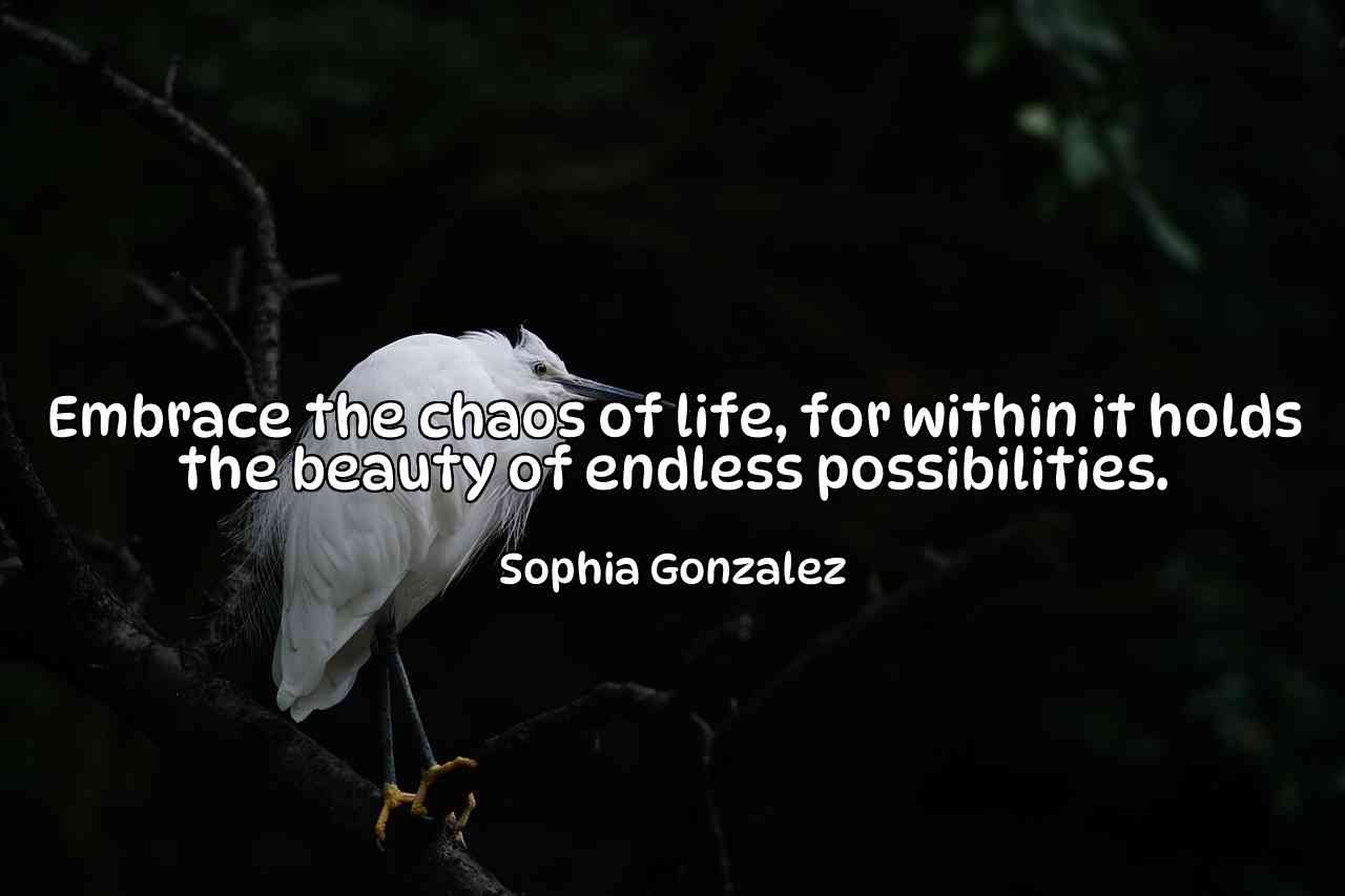 Embrace the chaos of life, for within it holds the beauty of endless possibilities. - Sophia Gonzalez