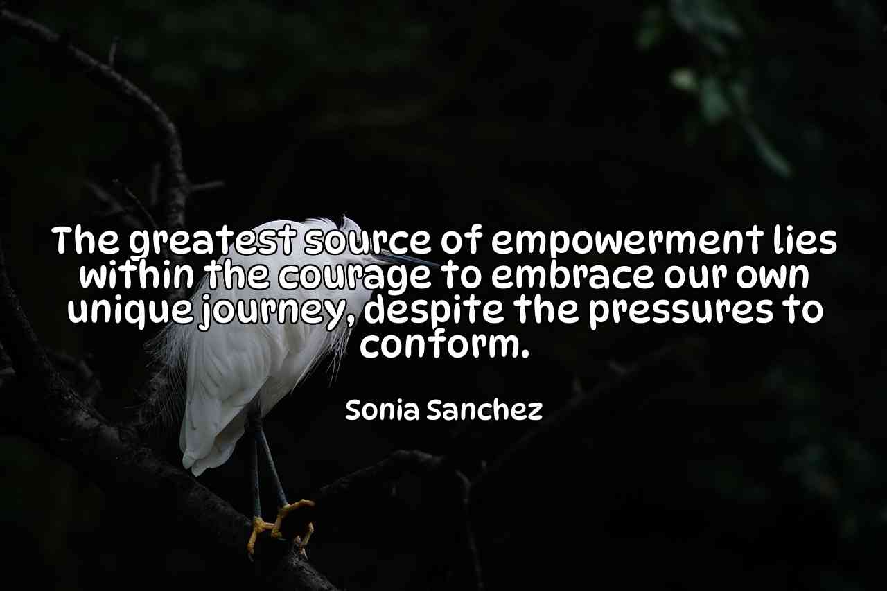 The greatest source of empowerment lies within the courage to embrace our own unique journey, despite the pressures to conform. - Sonia Sanchez