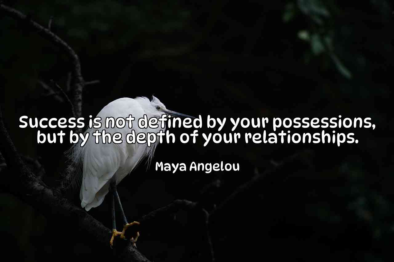 Success is not defined by your possessions, but by the depth of your relationships. - Maya Angelou