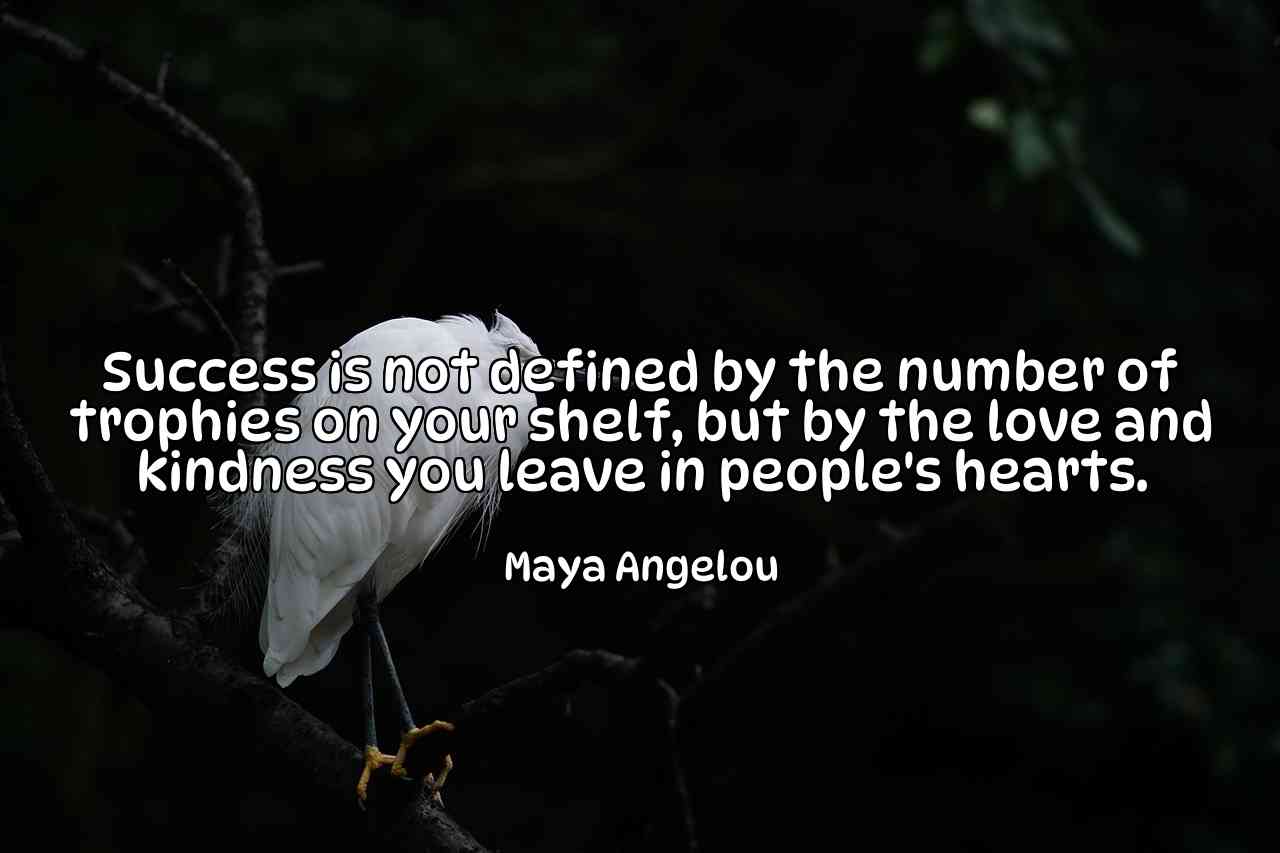 Success is not defined by the number of trophies on your shelf, but by the love and kindness you leave in people's hearts. - Maya Angelou