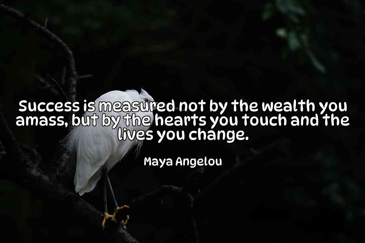 Success is measured not by the wealth you amass, but by the hearts you touch and the lives you change. - Maya Angelou