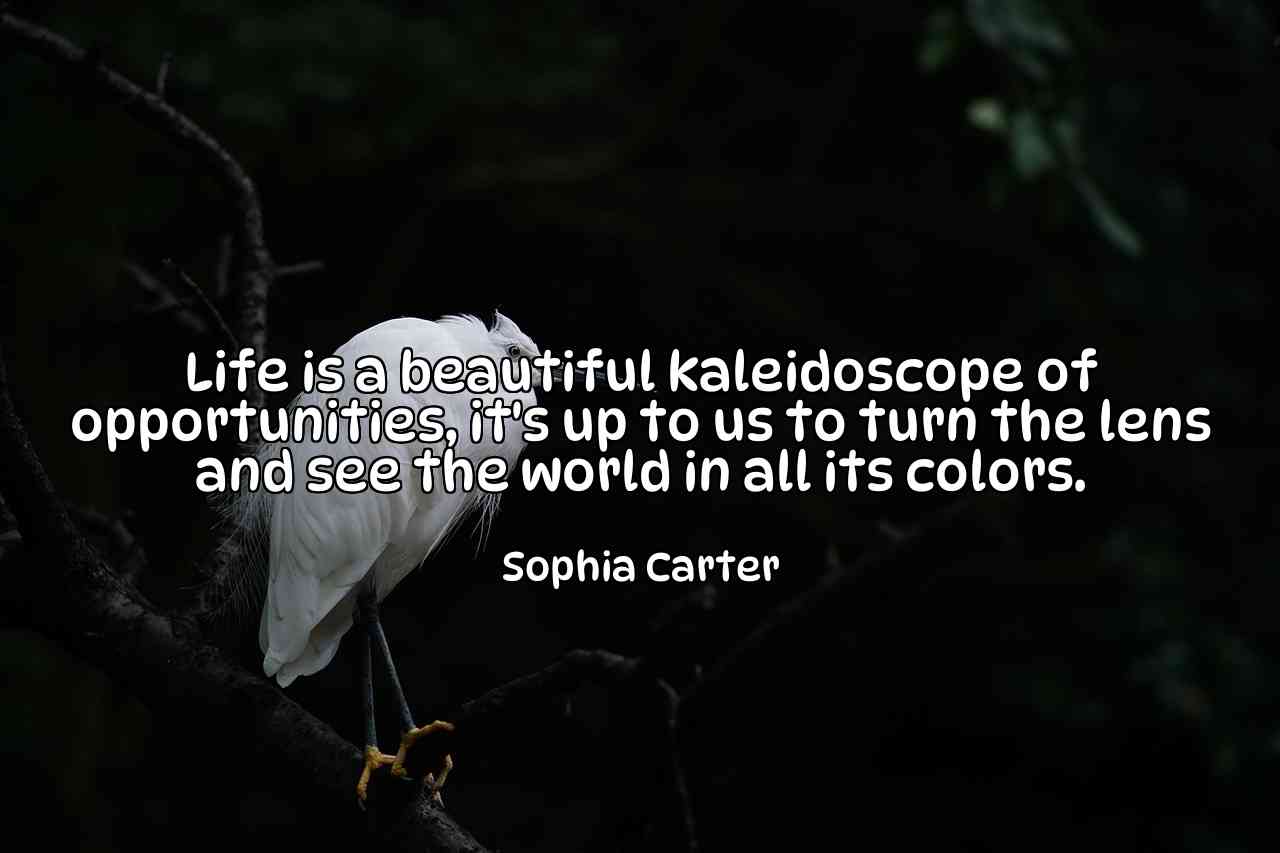 Life is a beautiful kaleidoscope of opportunities, it's up to us to turn the lens and see the world in all its colors. - Sophia Carter