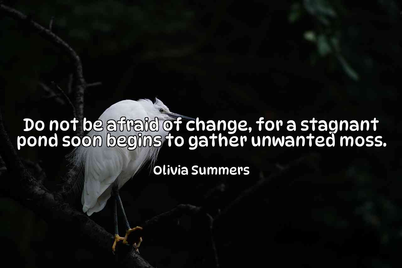 Do not be afraid of change, for a stagnant pond soon begins to gather unwanted moss. - Olivia Summers