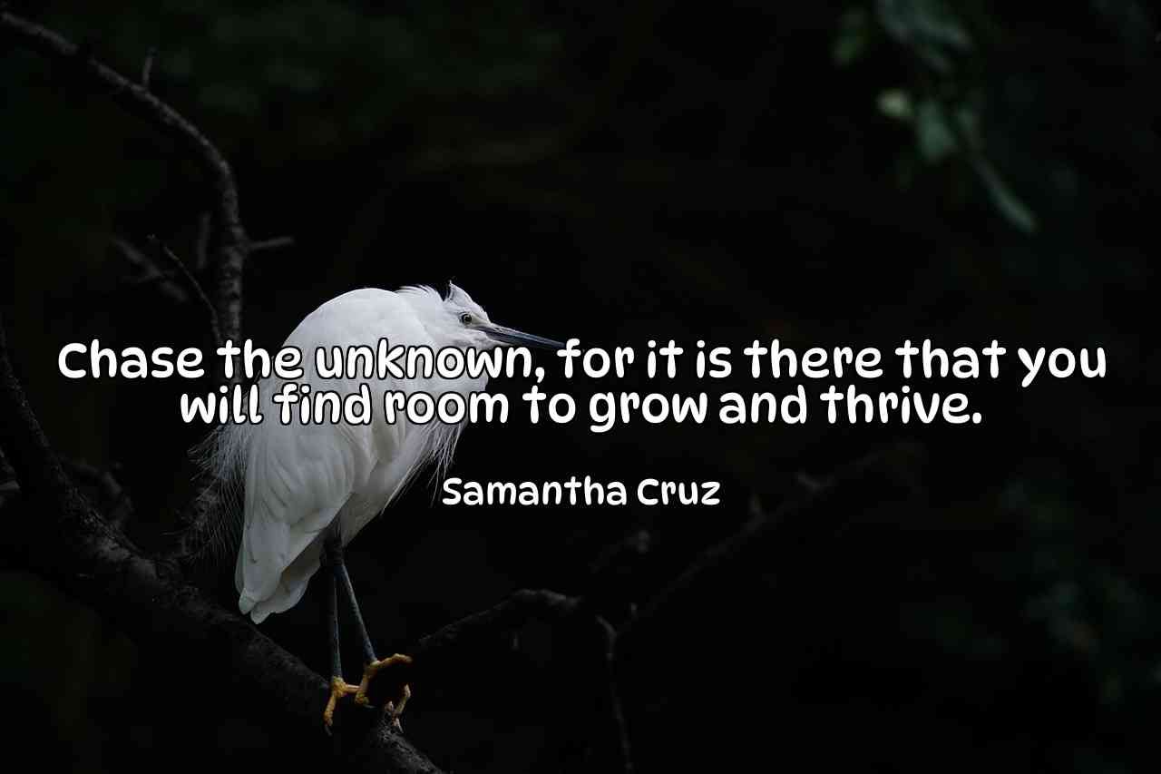 Chase the unknown, for it is there that you will find room to grow and thrive. - Samantha Cruz