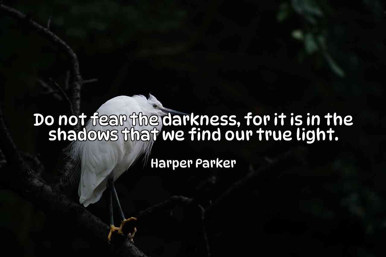 Do not fear the darkness, for it is in the shadows that we find our true light. - Harper Parker