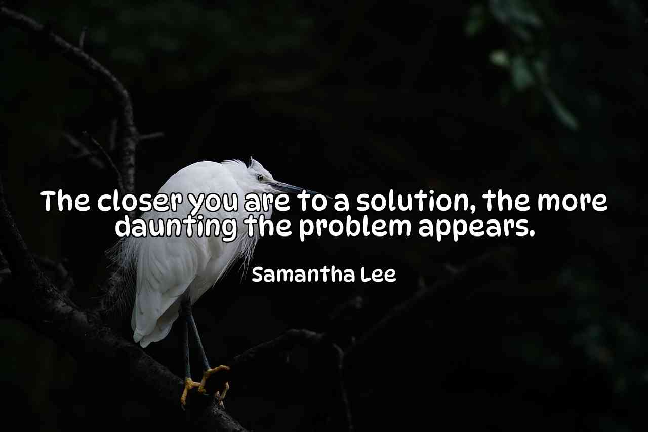 The closer you are to a solution, the more daunting the problem appears. - Samantha Lee