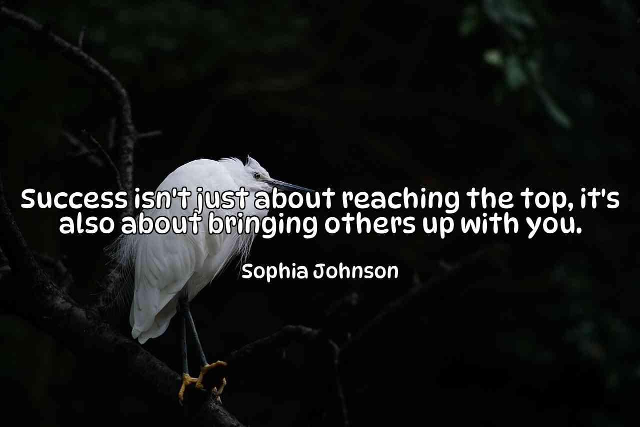 Success isn't just about reaching the top, it's also about bringing others up with you. - Sophia Johnson